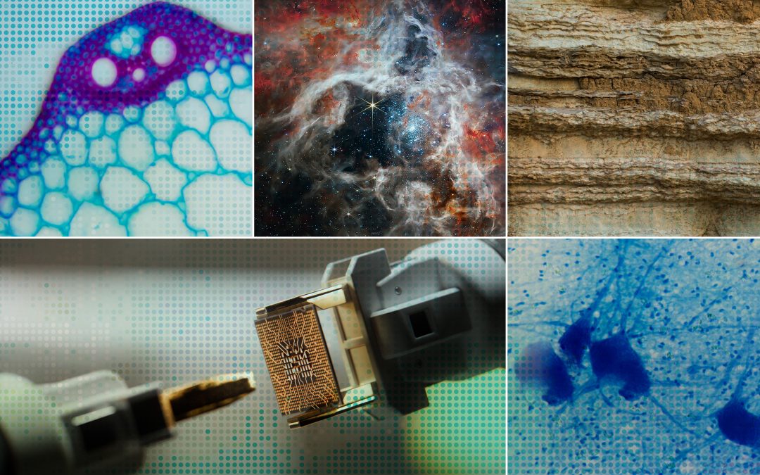 Accelerating scientific discovery with AI