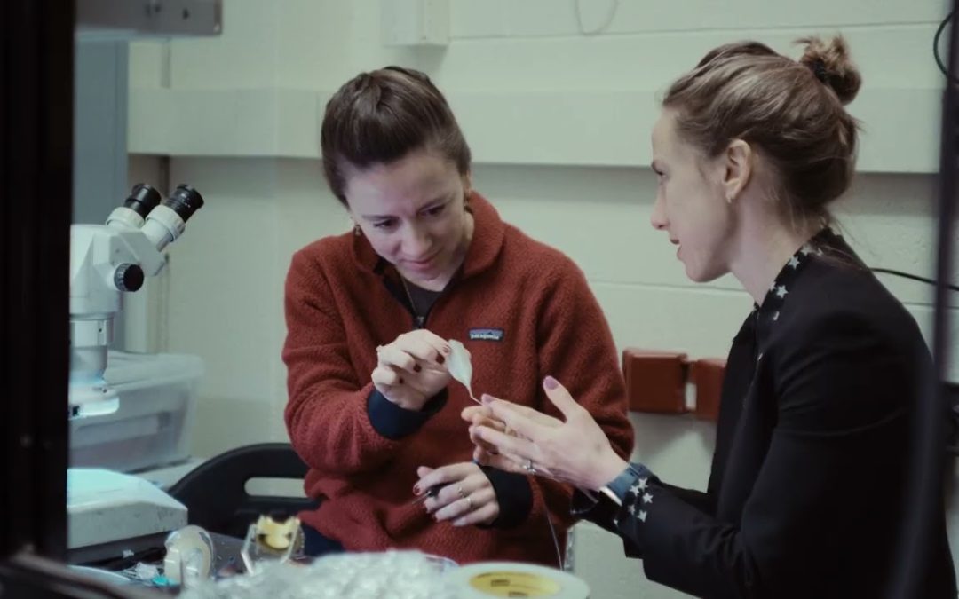 New postdoctoral fellowship program to accelerate innovation in health care