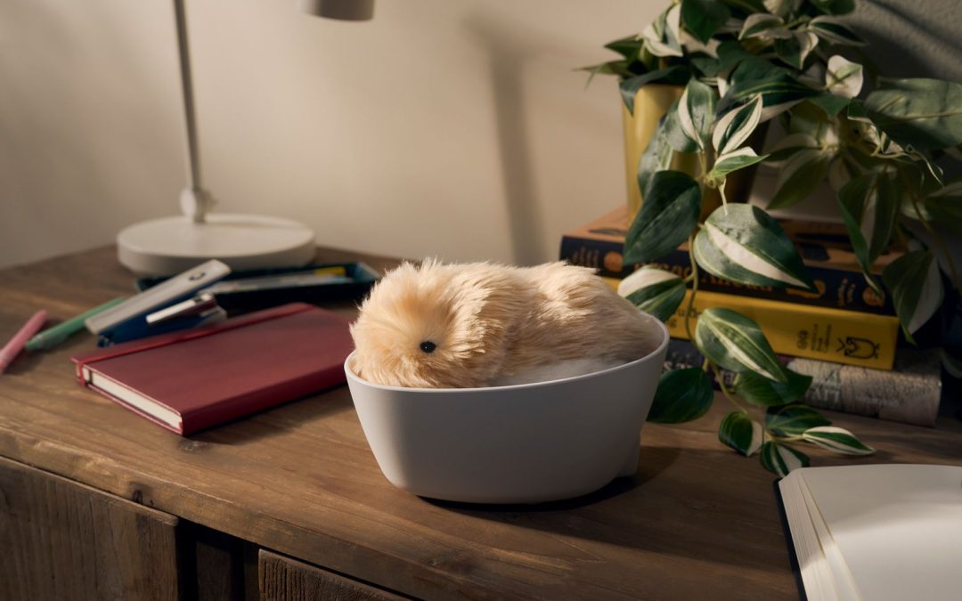 Casio’s Fluffy AI Robot Squeaked Its Way Into My Heart