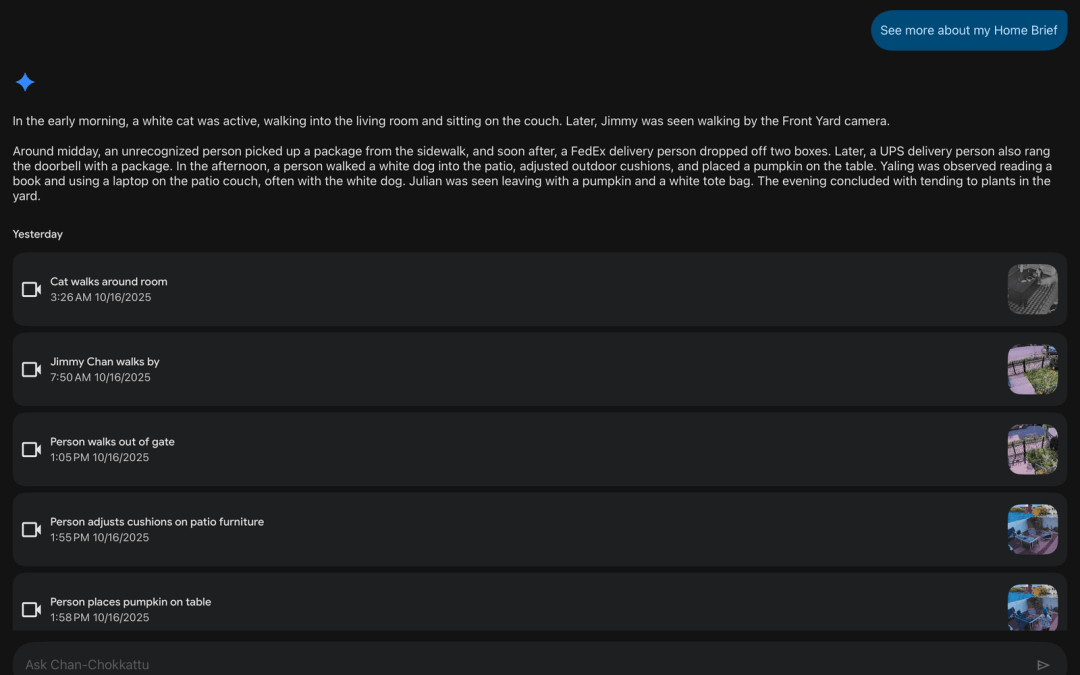 Gemini in Google Home Keeps Mistaking My Dog for a Cat