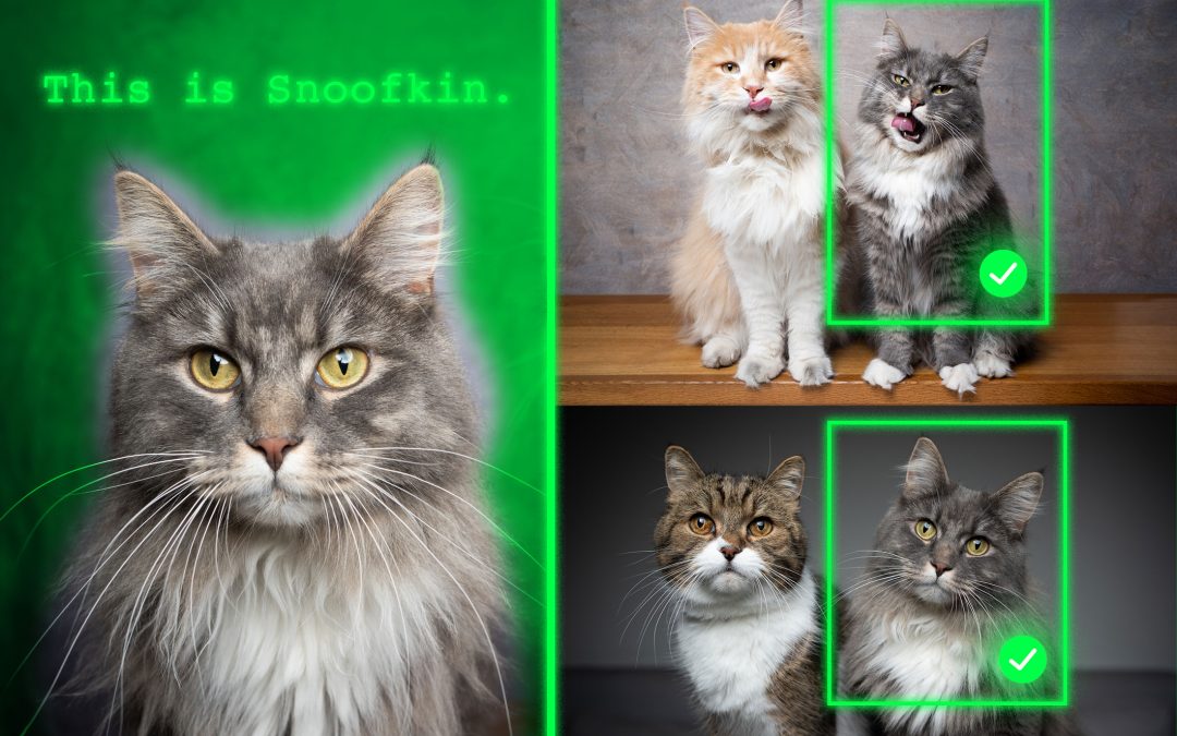 Method teaches generative AI models to locate personalized objects